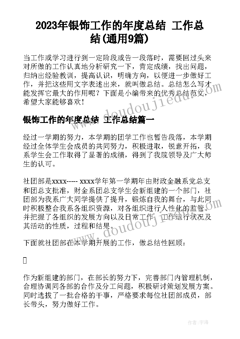 2023年银饰工作的年度总结 工作总结(通用9篇)