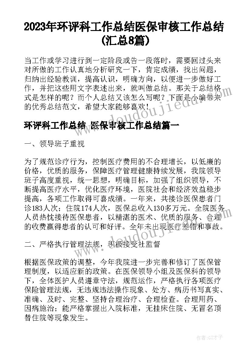 2023年环评科工作总结 医保审核工作总结(汇总8篇)