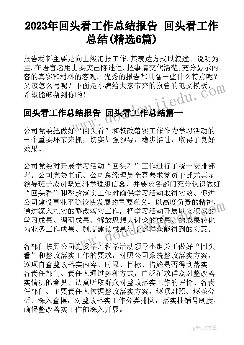 2023年回头看工作总结报告 回头看工作总结(精选6篇)