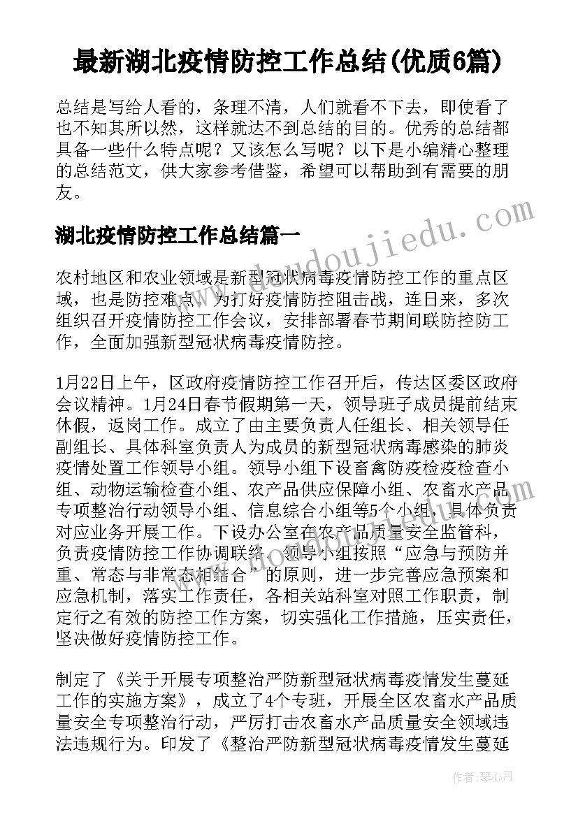 最新湖北疫情防控工作总结(优质6篇)