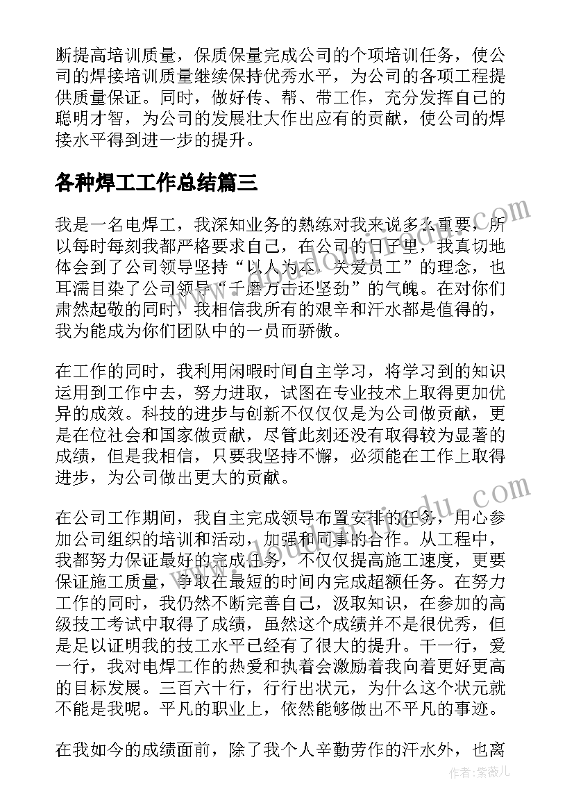 2023年各种焊工工作总结(优秀9篇)