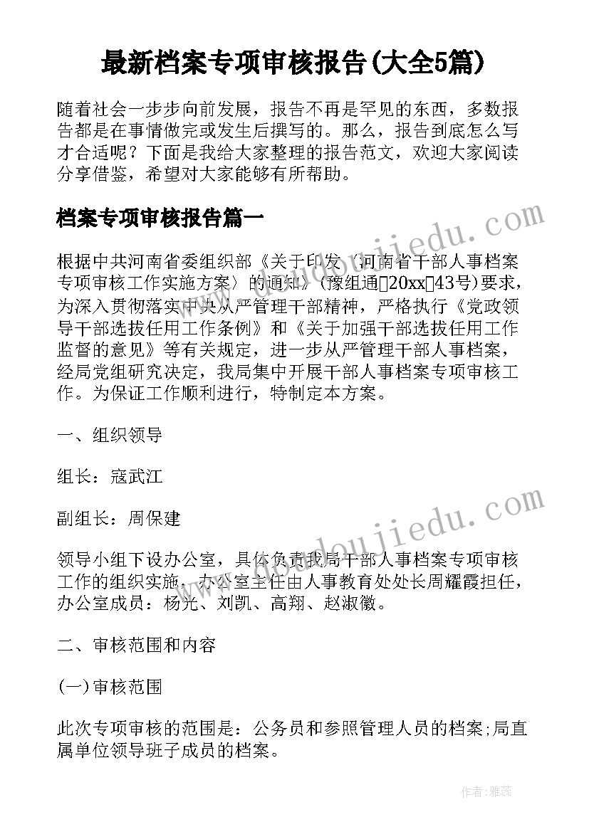 最新档案专项审核报告(大全5篇)