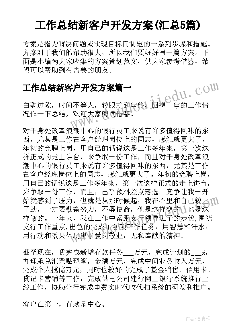 工作总结新客户开发方案(汇总5篇)