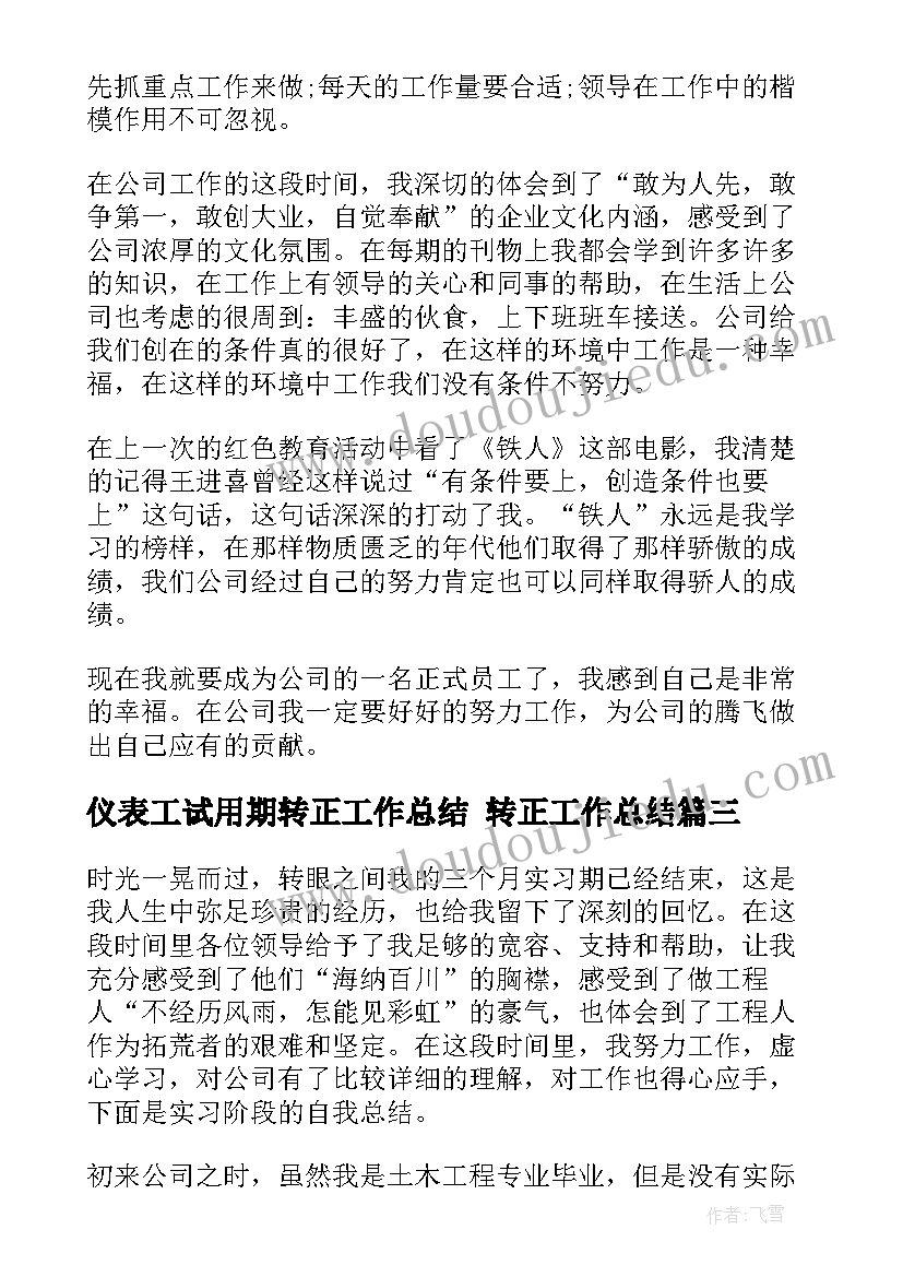 最新仪表工试用期转正工作总结 转正工作总结(精选9篇)