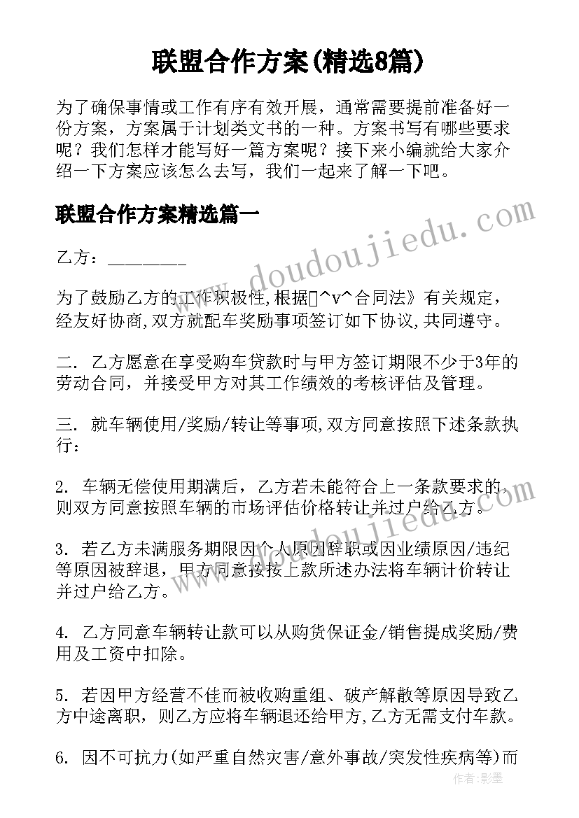 联盟合作方案(精选8篇)