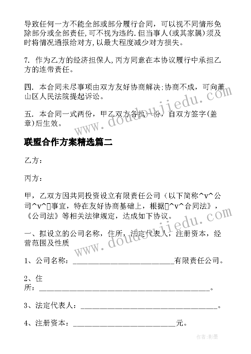 联盟合作方案(精选8篇)