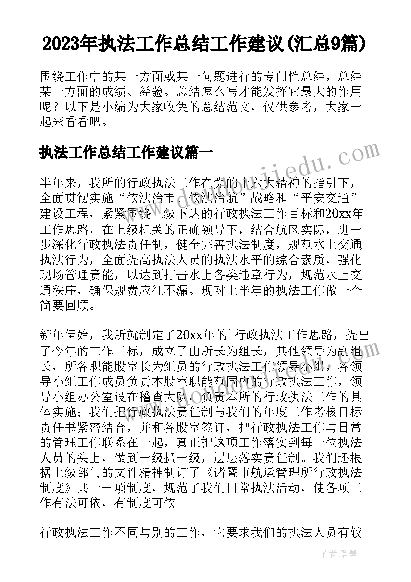 2023年执法工作总结工作建议(汇总9篇)