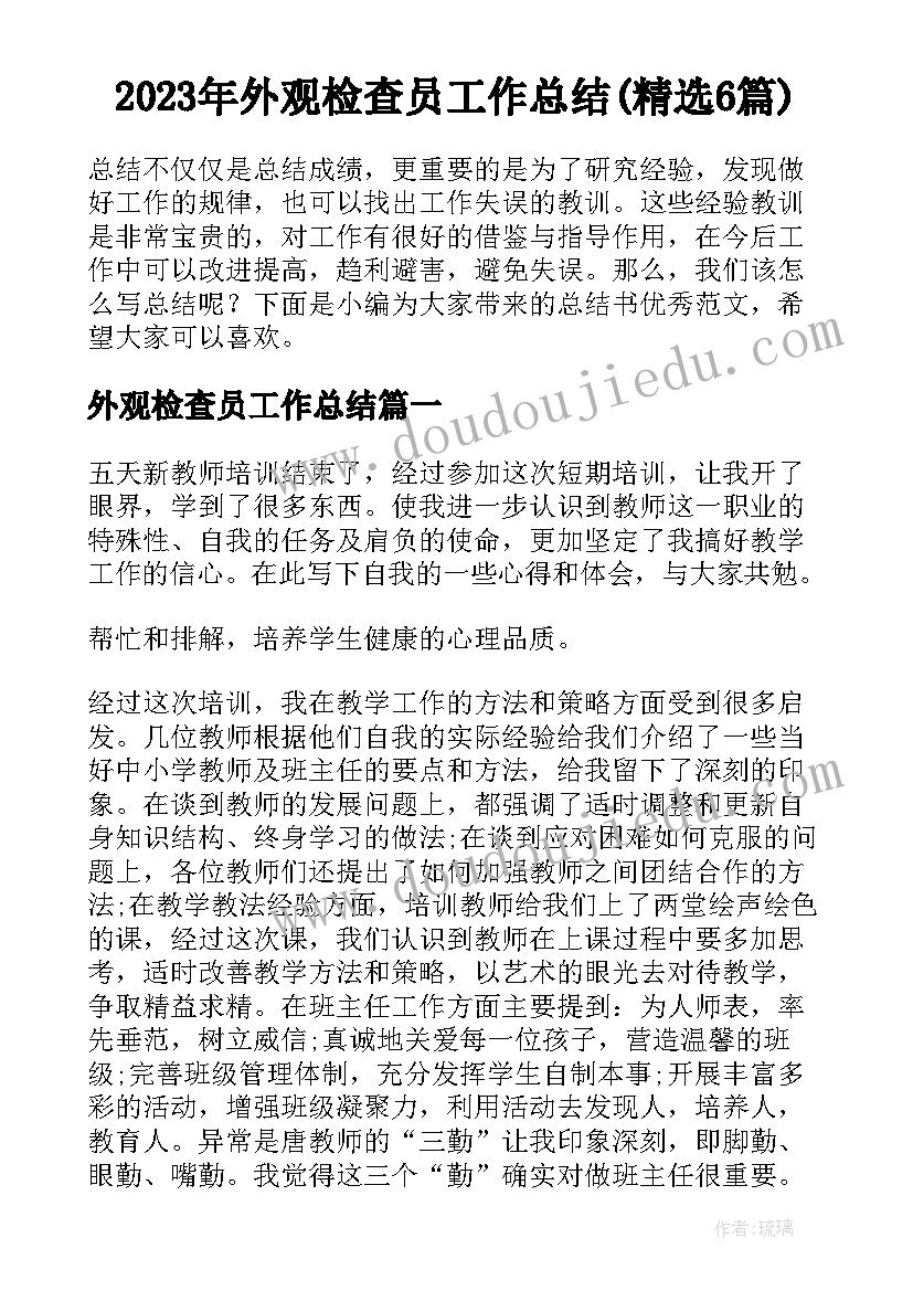 2023年外观检查员工作总结(精选6篇)