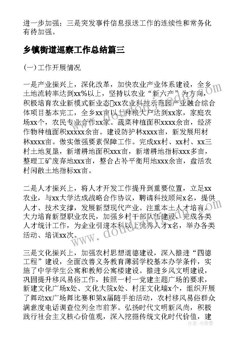 2023年乡镇街道巡察工作总结(实用5篇)