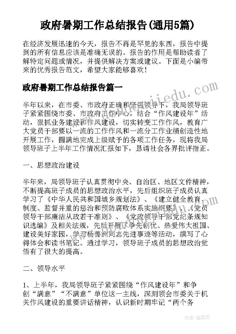 政府暑期工作总结报告(通用5篇)