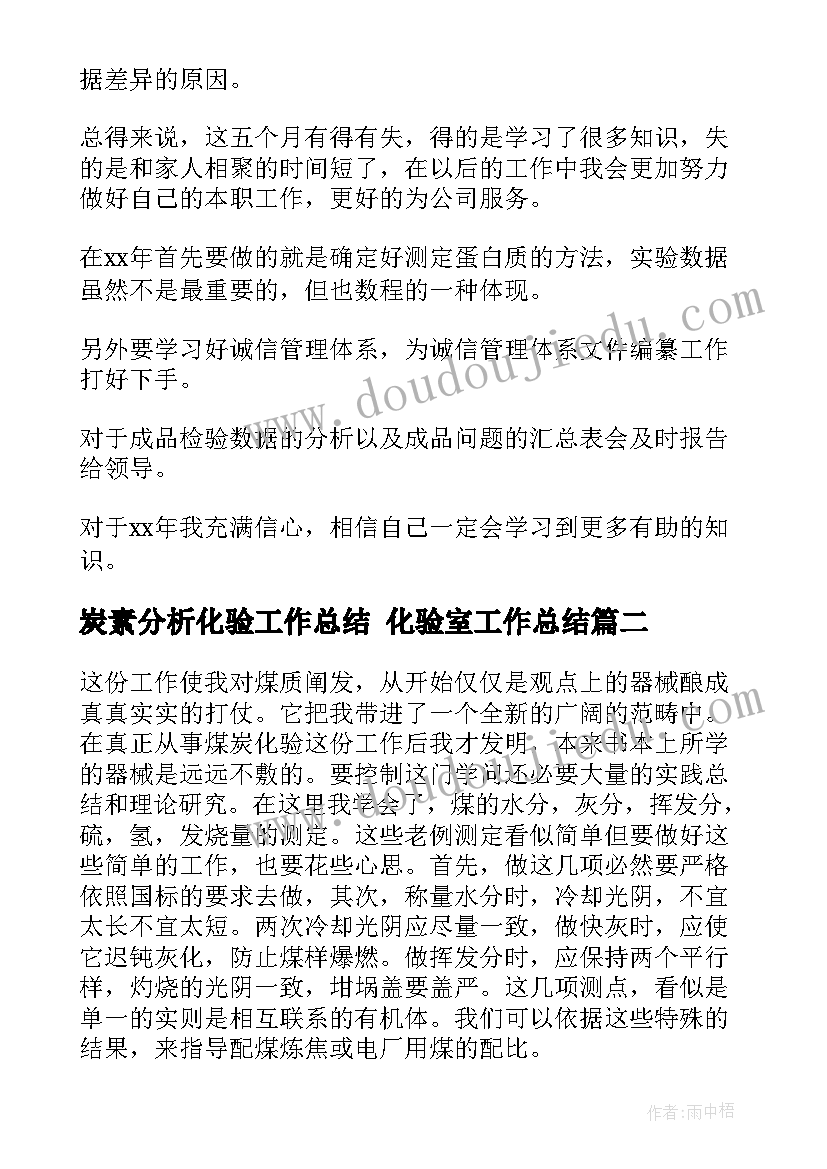 2023年炭素分析化验工作总结 化验室工作总结(大全6篇)