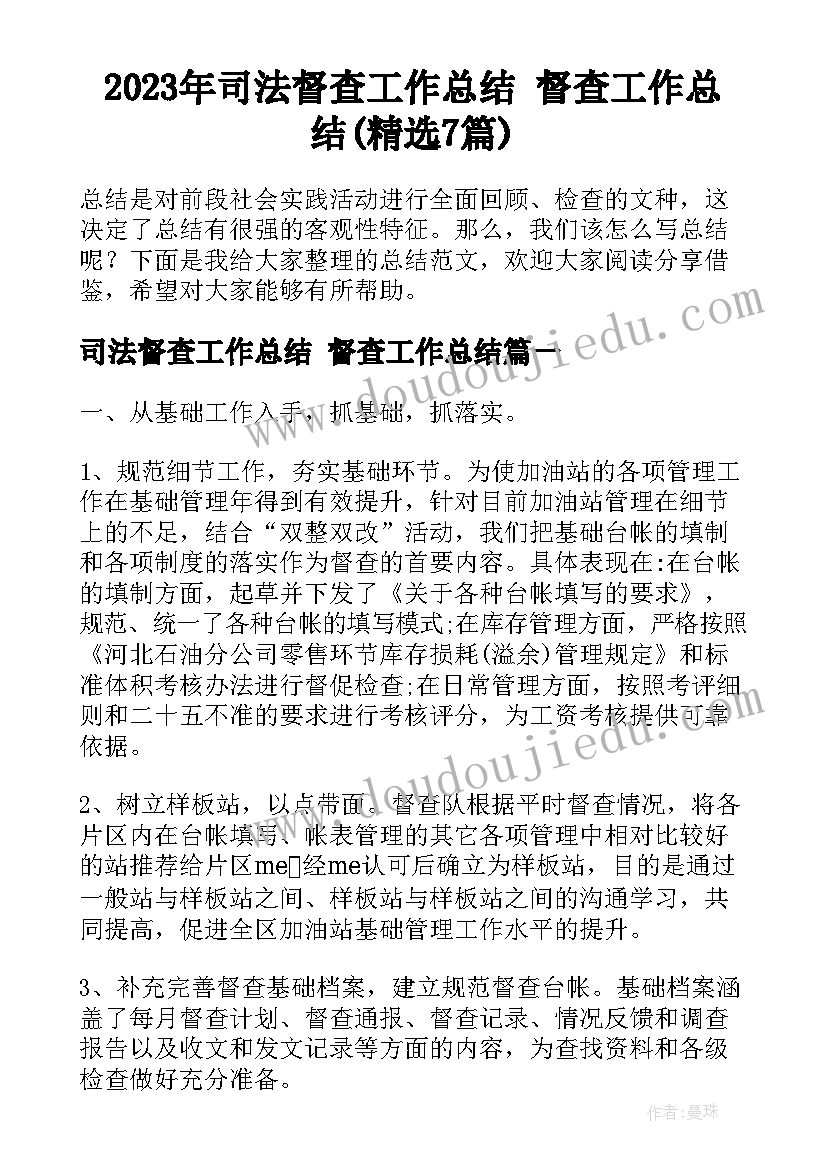 2023年司法督查工作总结 督查工作总结(精选7篇)