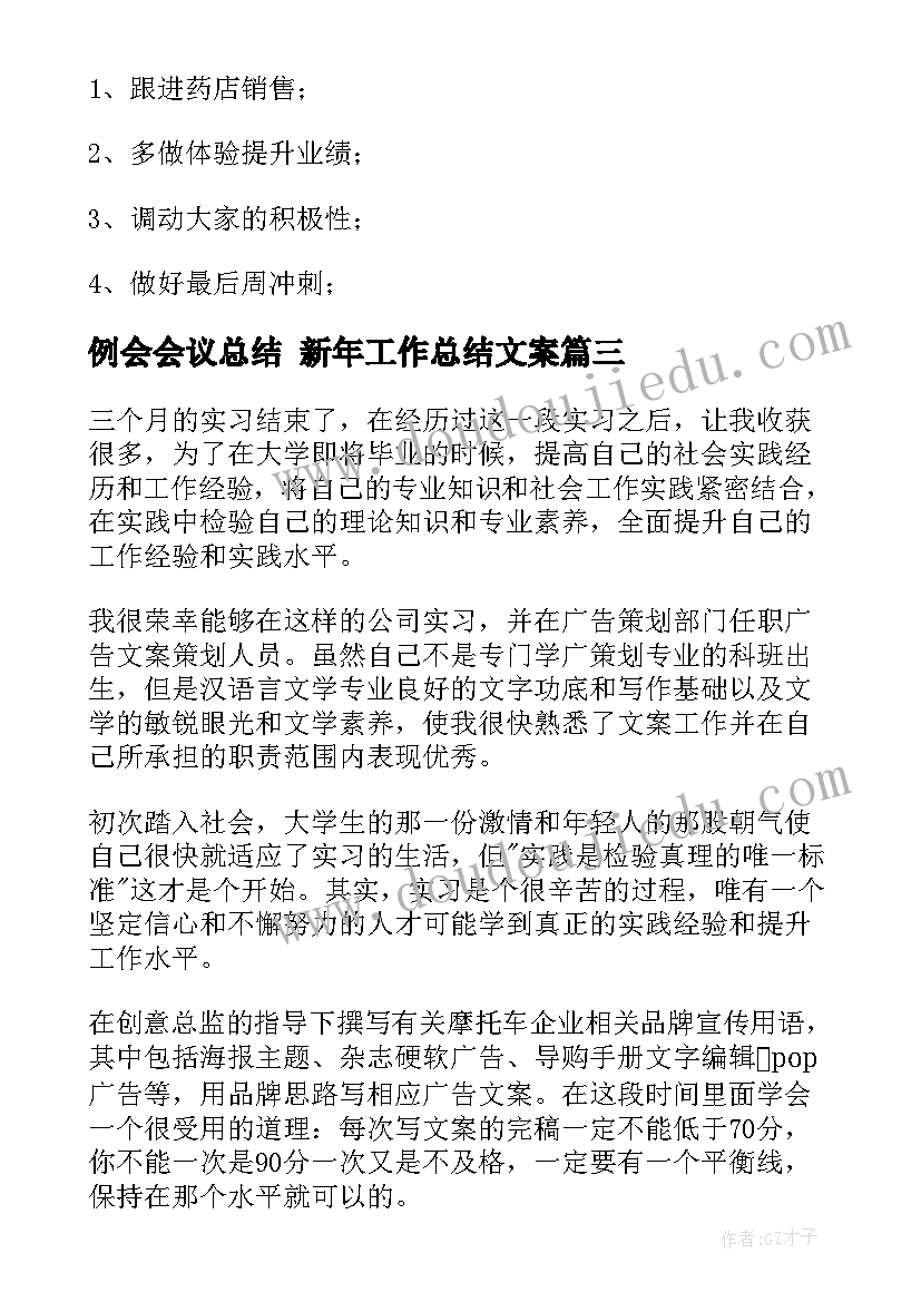 例会会议总结 新年工作总结文案(大全8篇)