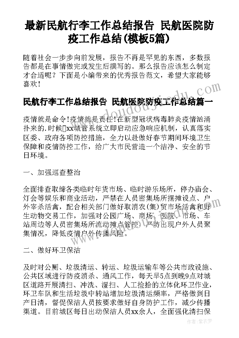 最新民航行李工作总结报告 民航医院防疫工作总结(模板5篇)