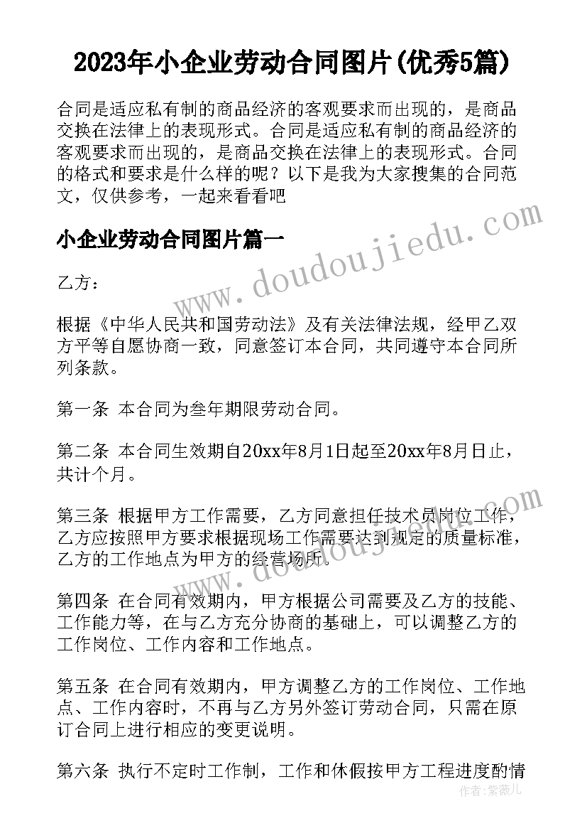 最新新老师入职培训心得体会 新聘入职老师培训心得体会(汇总5篇)