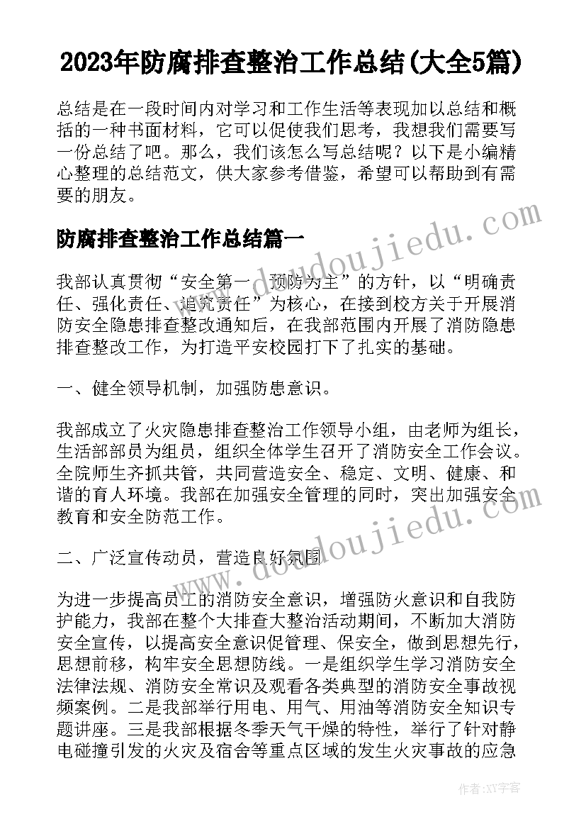 2023年防腐排查整治工作总结(大全5篇)