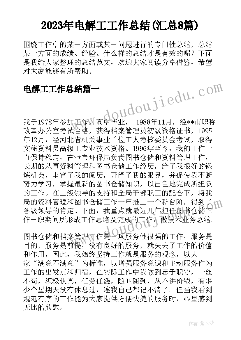 2023年电解工工作总结(汇总8篇)