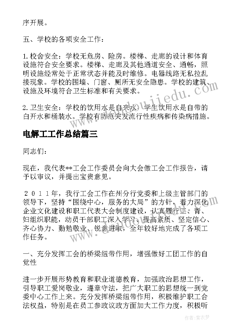 2023年电解工工作总结(汇总8篇)