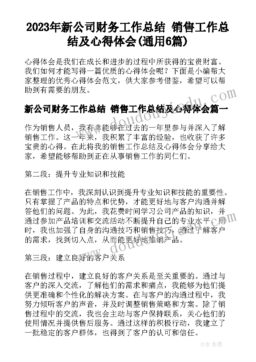 2023年新公司财务工作总结 销售工作总结及心得体会(通用6篇)