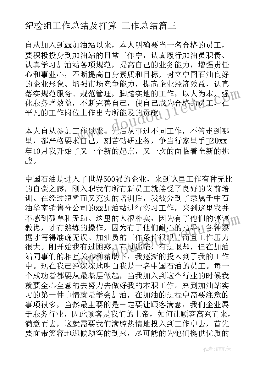 2023年纪检组工作总结及打算 工作总结(模板7篇)