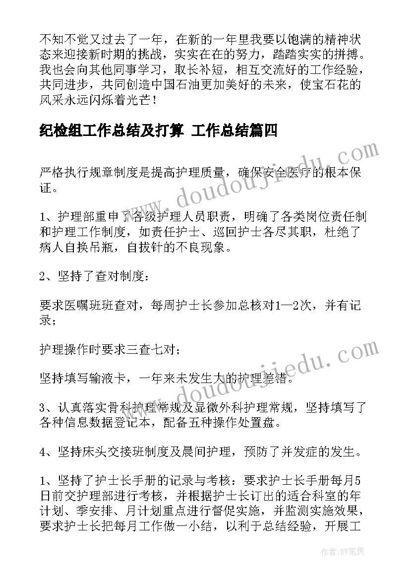 2023年纪检组工作总结及打算 工作总结(模板7篇)