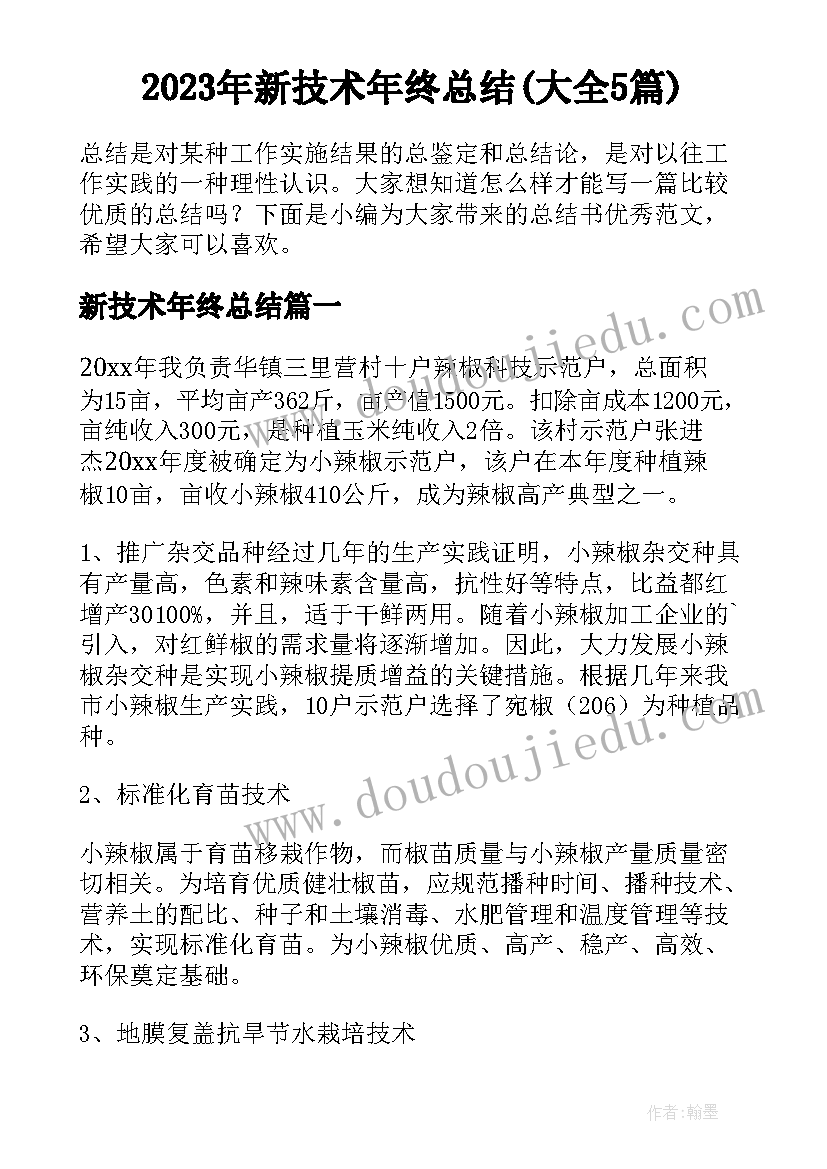 2023年新技术年终总结(大全5篇)