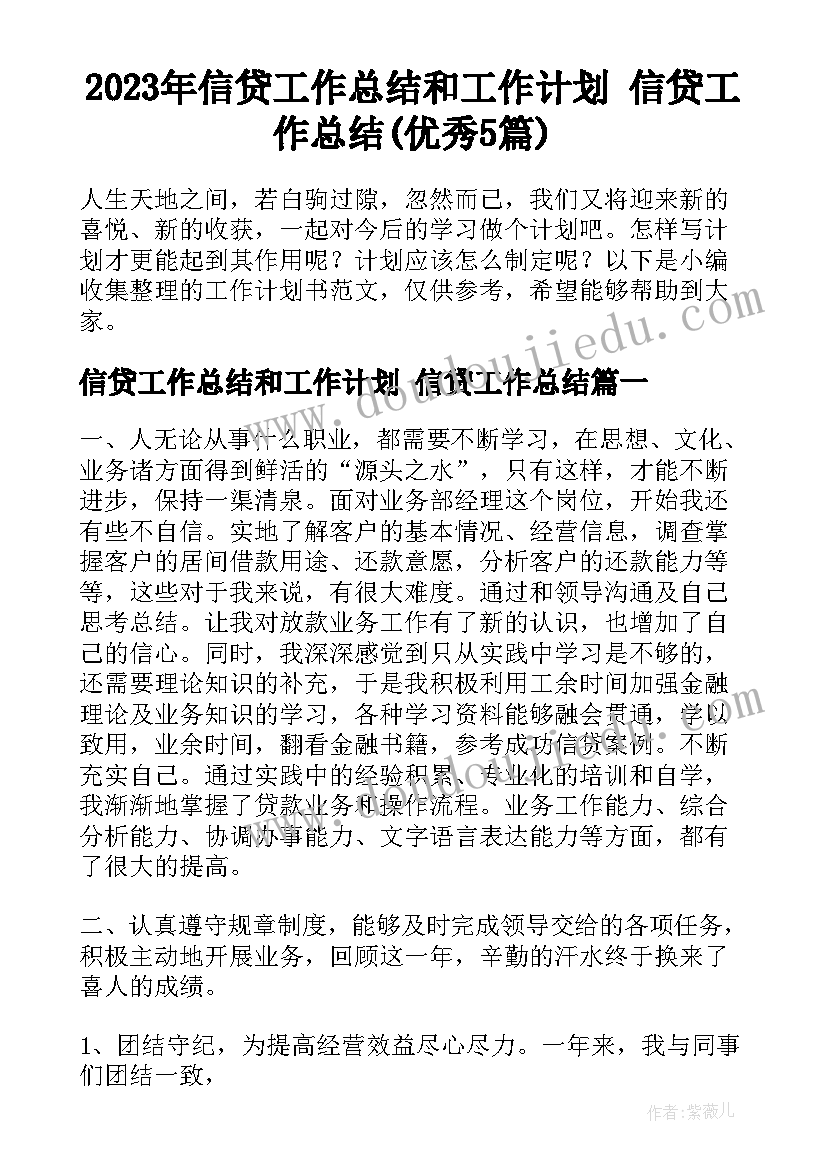 2023年信贷工作总结和工作计划 信贷工作总结(优秀5篇)