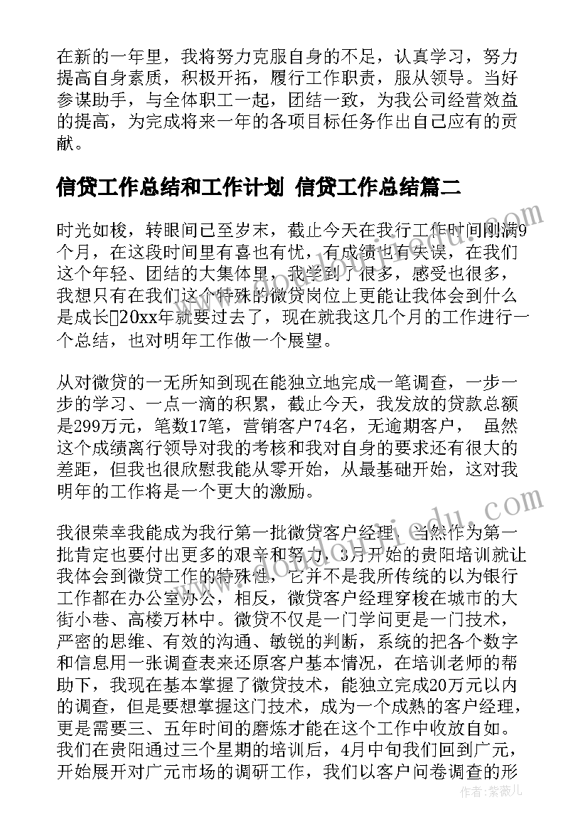 2023年信贷工作总结和工作计划 信贷工作总结(优秀5篇)