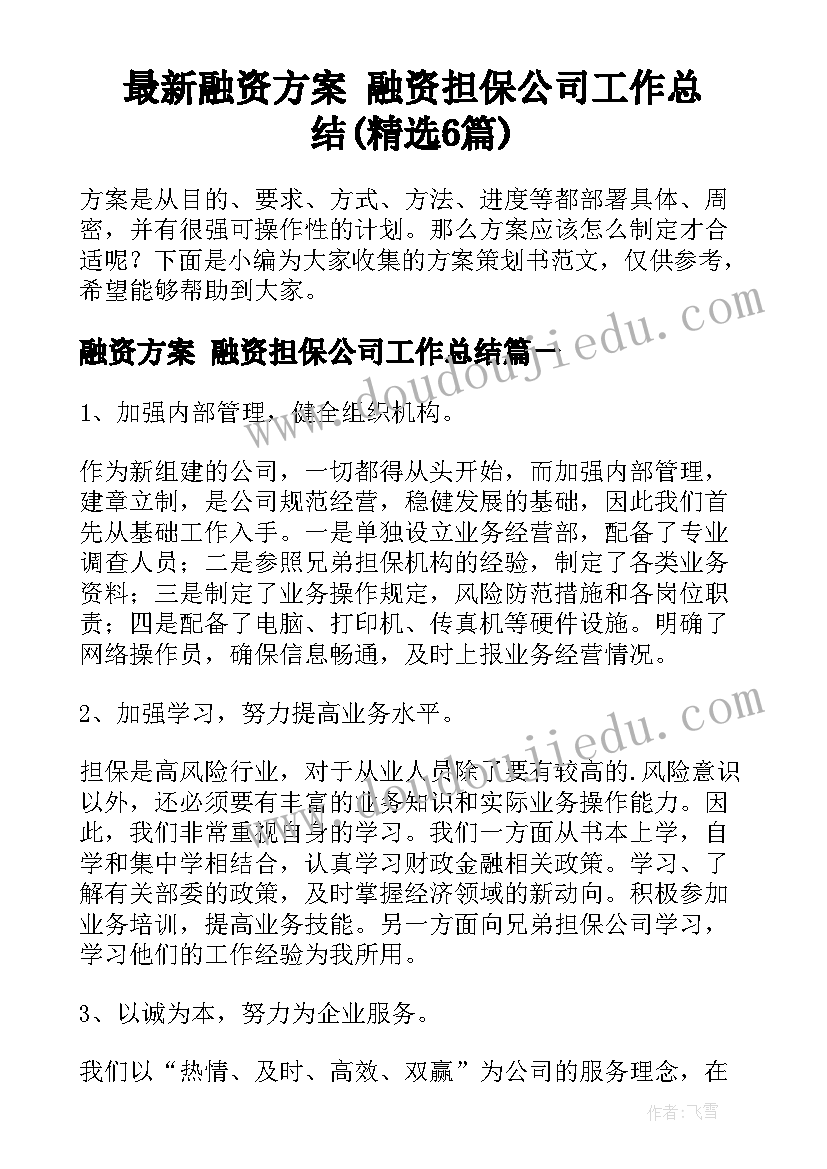 最新融资方案 融资担保公司工作总结(精选6篇)