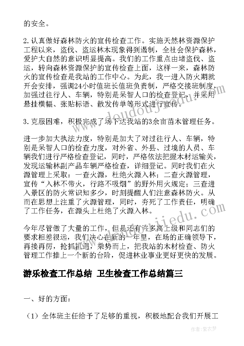 2023年游乐检查工作总结 卫生检查工作总结(汇总7篇)