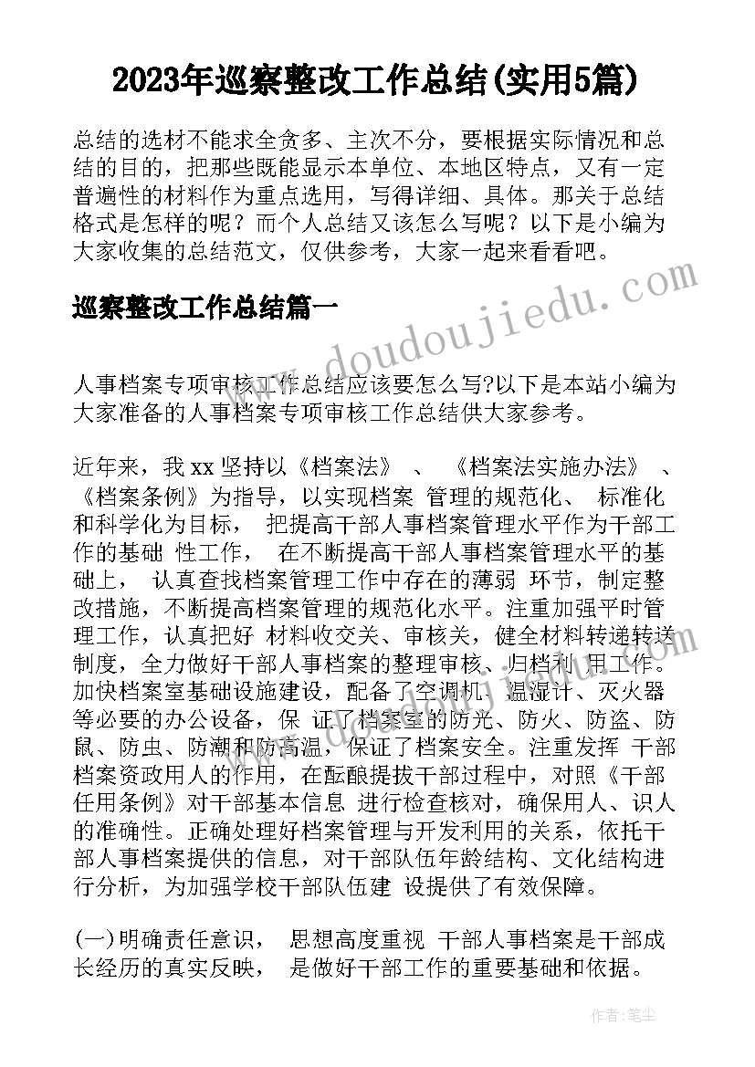 2023年巡察整改工作总结(实用5篇)