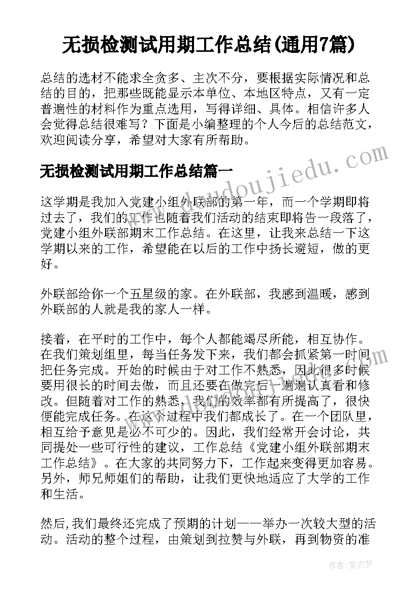 无损检测试用期工作总结(通用7篇)