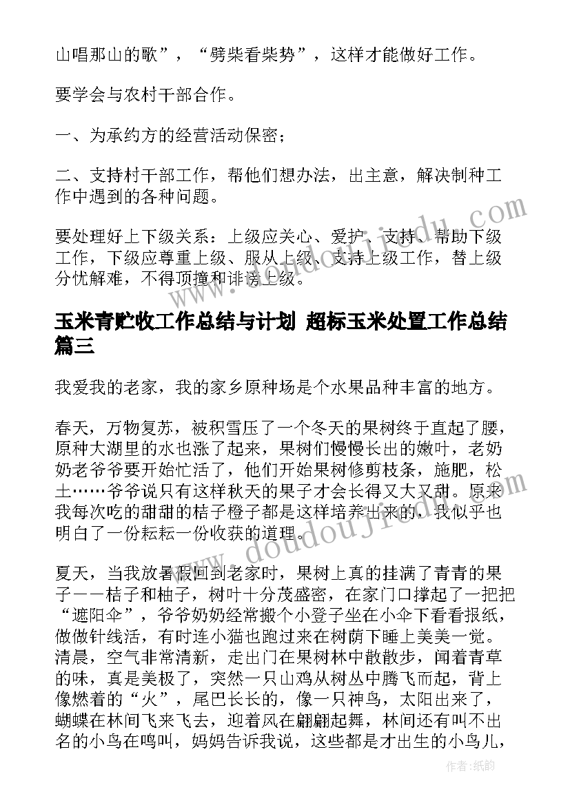 玉米青贮收工作总结与计划 超标玉米处置工作总结(大全5篇)