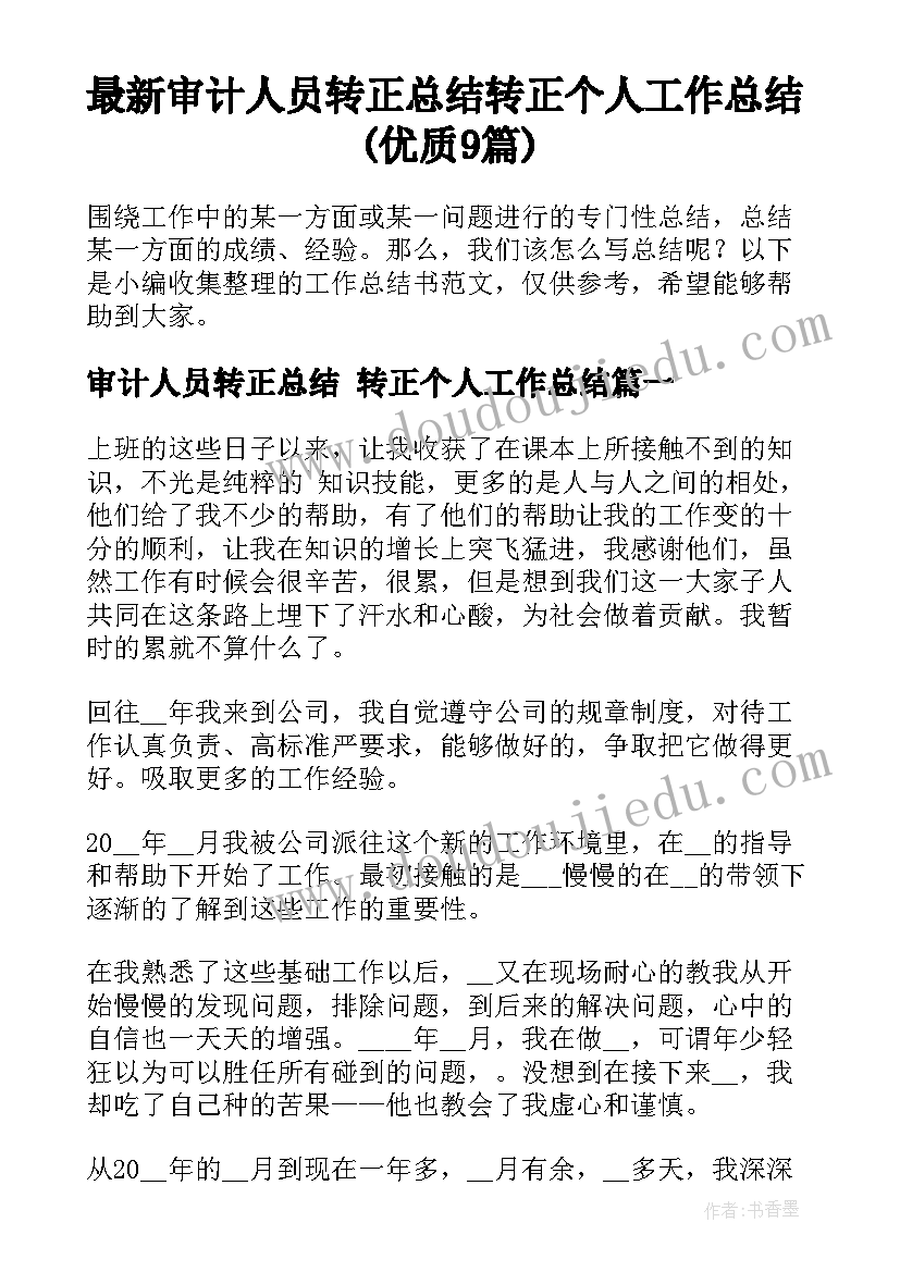 最新审计人员转正总结 转正个人工作总结(优质9篇)