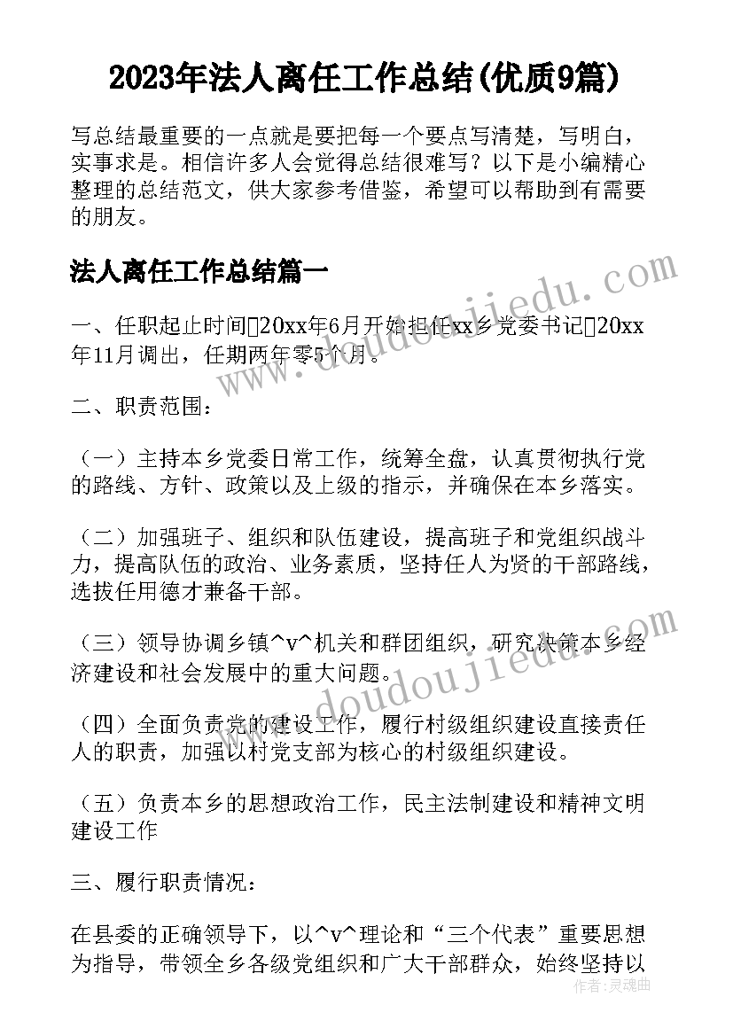 2023年法人离任工作总结(优质9篇)