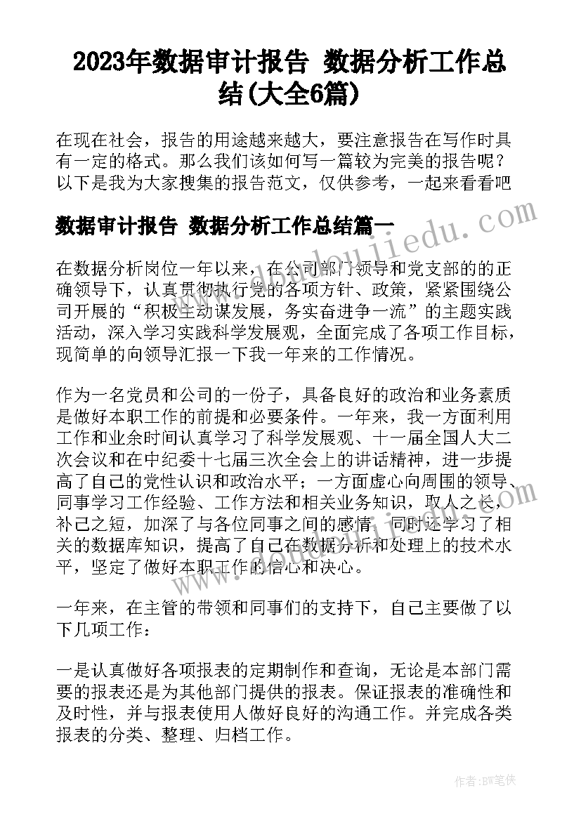 2023年数据审计报告 数据分析工作总结(大全6篇)