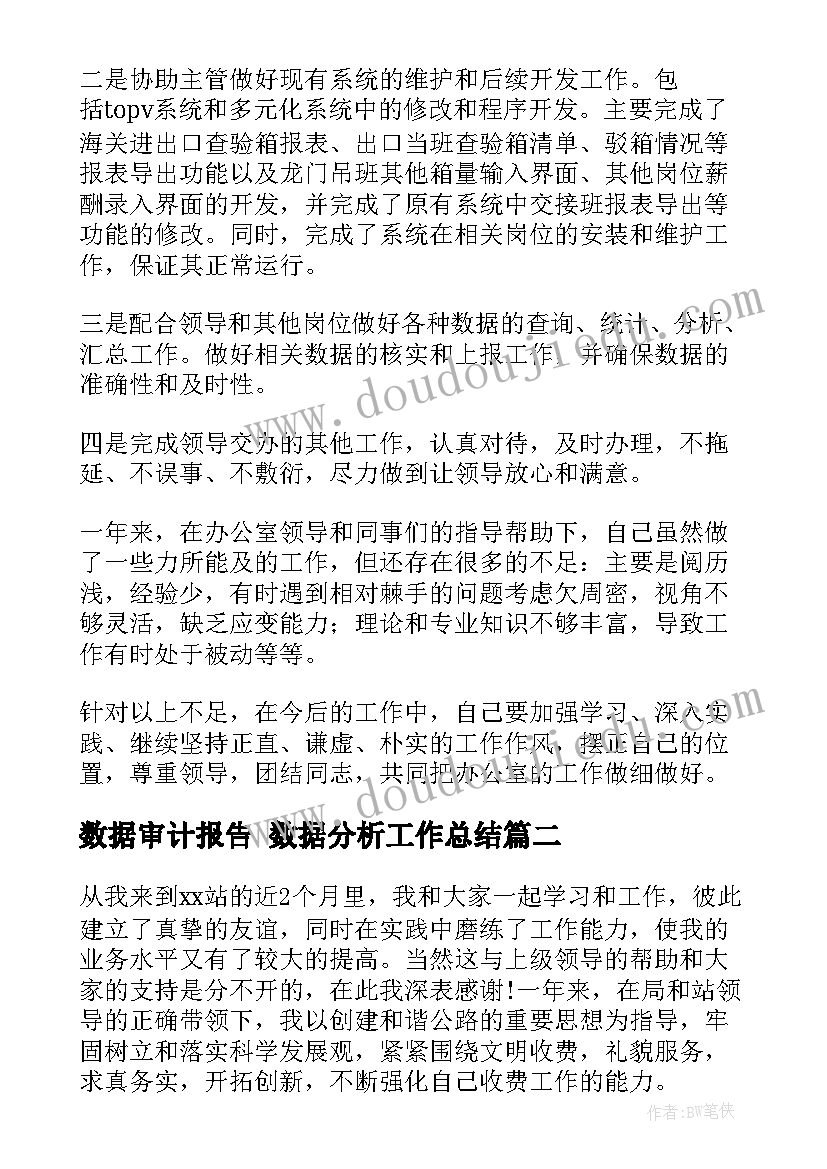 2023年数据审计报告 数据分析工作总结(大全6篇)