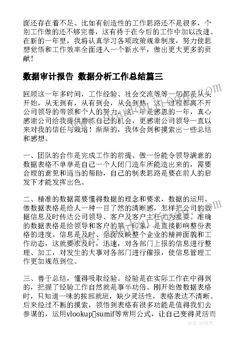 2023年数据审计报告 数据分析工作总结(大全6篇)