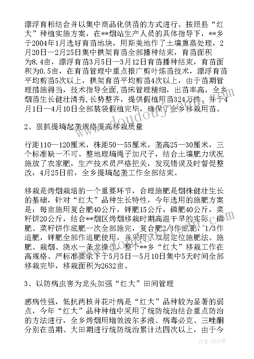 2023年烤烟办工作总结 烤烟品种介绍(精选6篇)