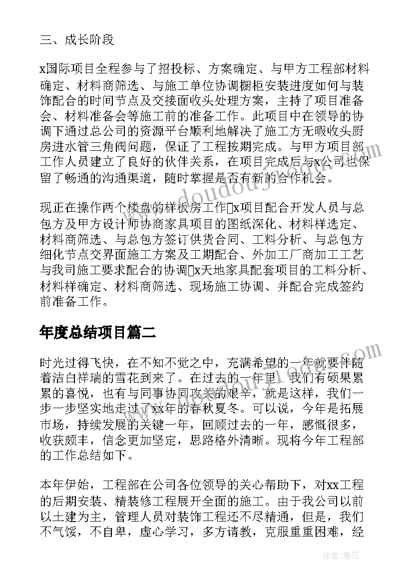 年度总结项目(大全7篇)