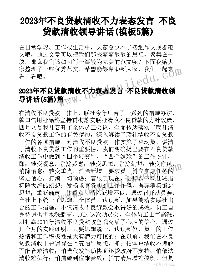 2023年不良贷款清收不力表态发言 不良贷款清收领导讲话(模板5篇)