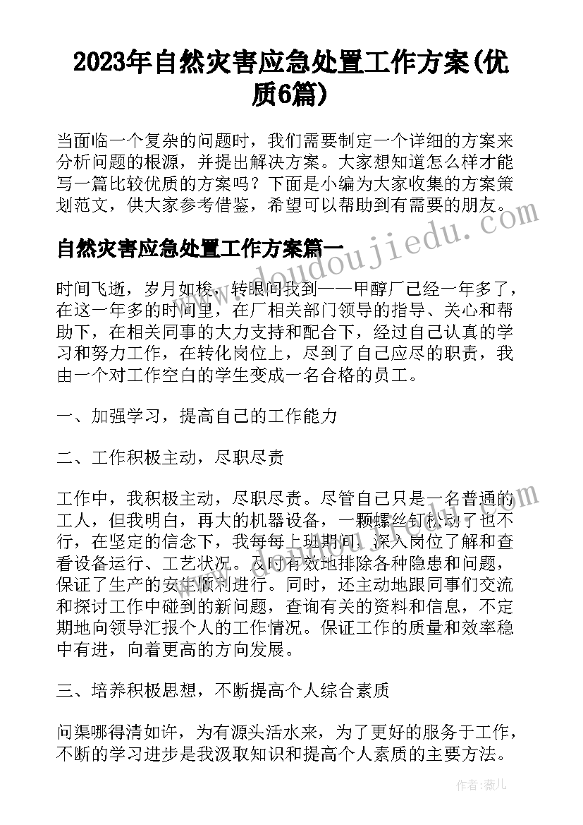 2023年自然灾害应急处置工作方案(优质6篇)