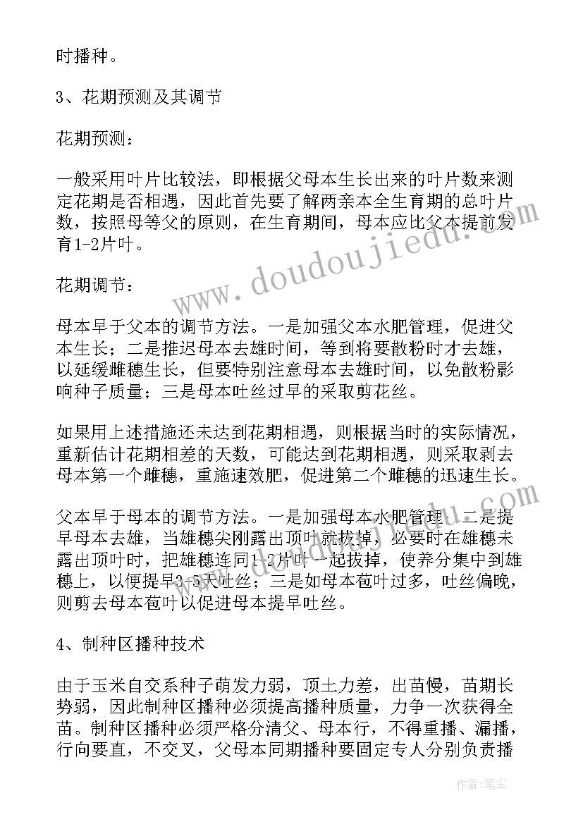 最新玉米制种工作总结(优秀5篇)