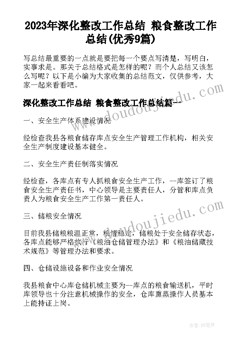 2023年深化整改工作总结 粮食整改工作总结(优秀9篇)