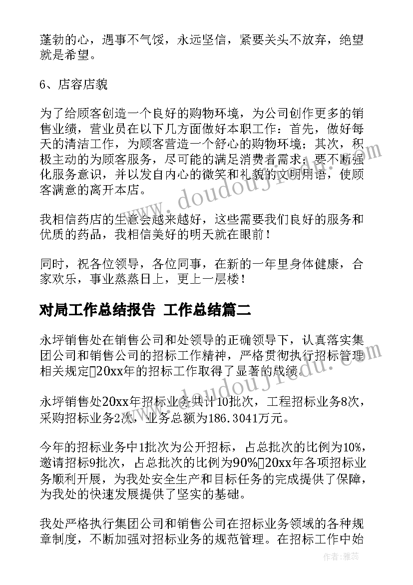 2023年对局工作总结报告 工作总结(精选8篇)