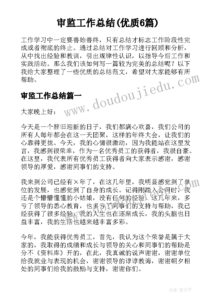 审监工作总结(优质6篇)