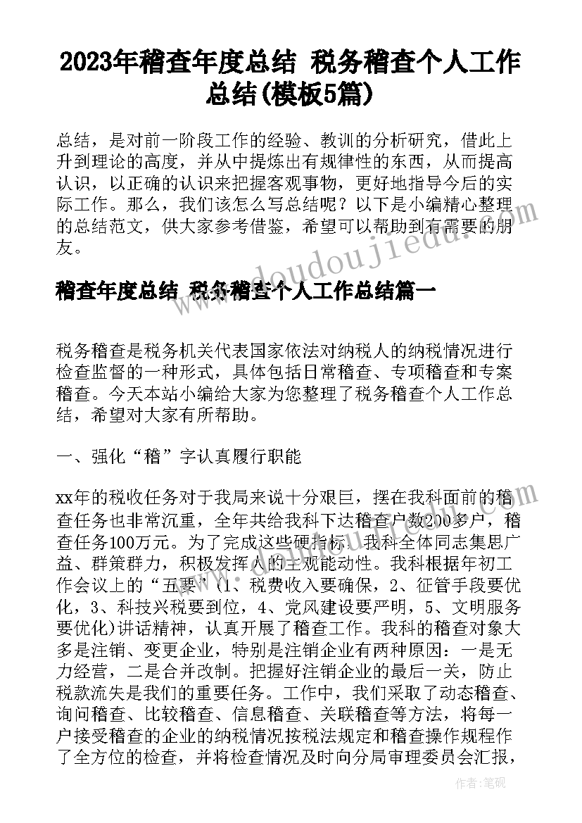 2023年稽查年度总结 税务稽查个人工作总结(模板5篇)