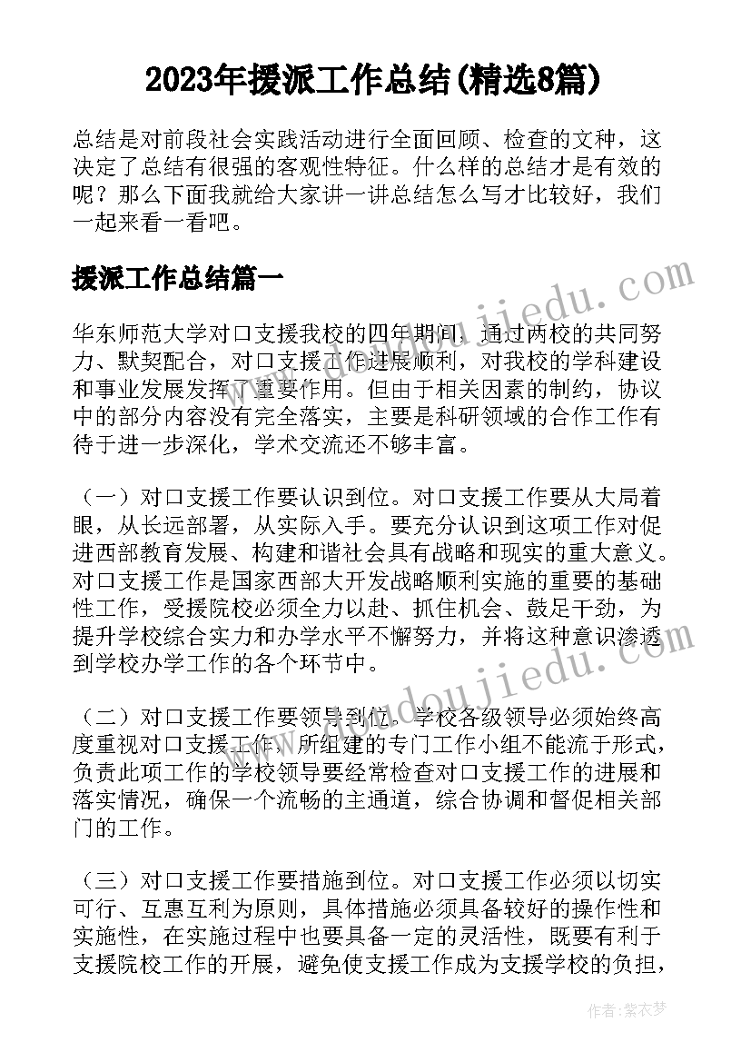 2023年援派工作总结(精选8篇)