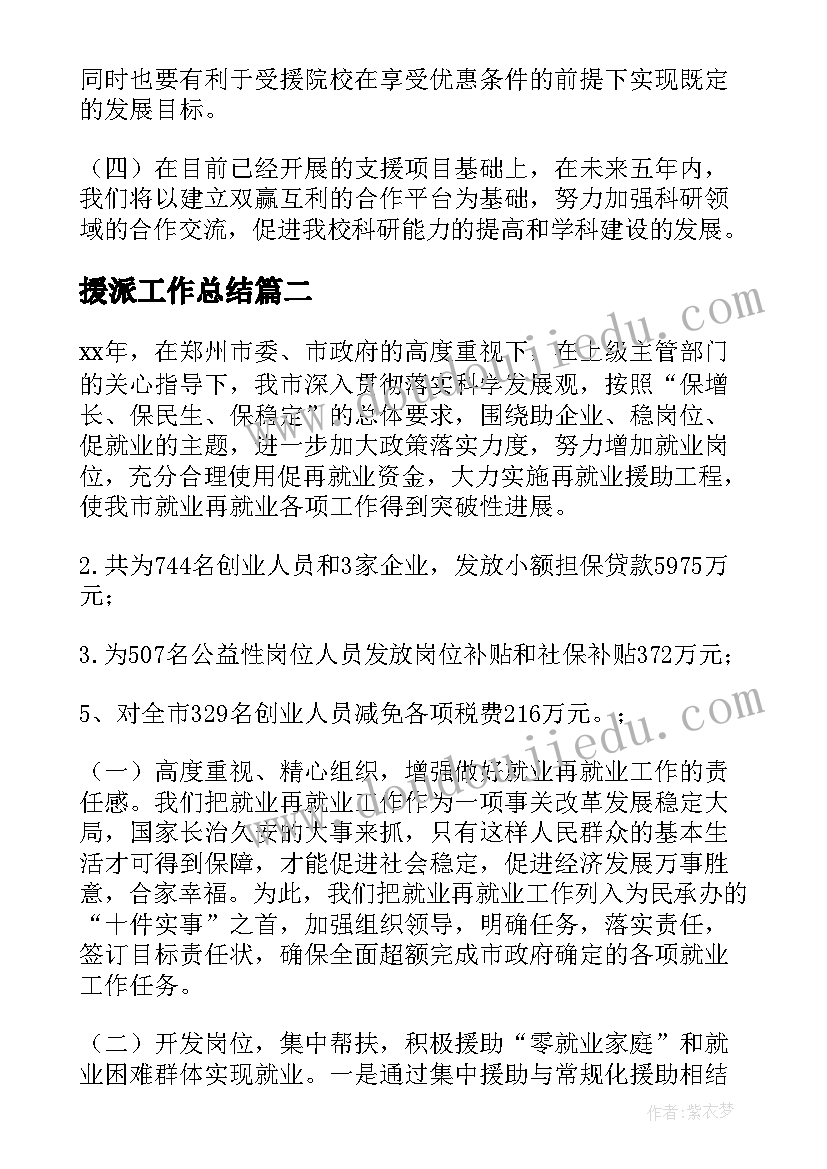 2023年援派工作总结(精选8篇)