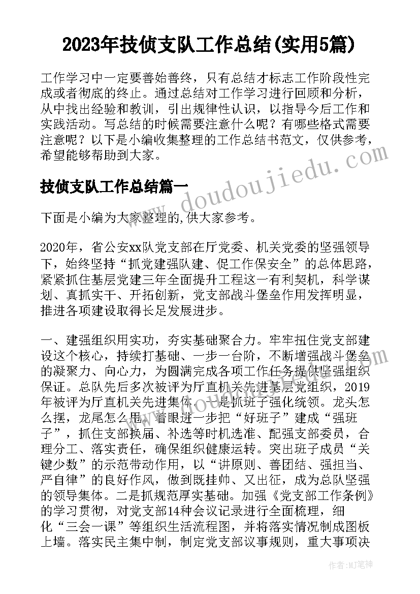 2023年技侦支队工作总结(实用5篇)